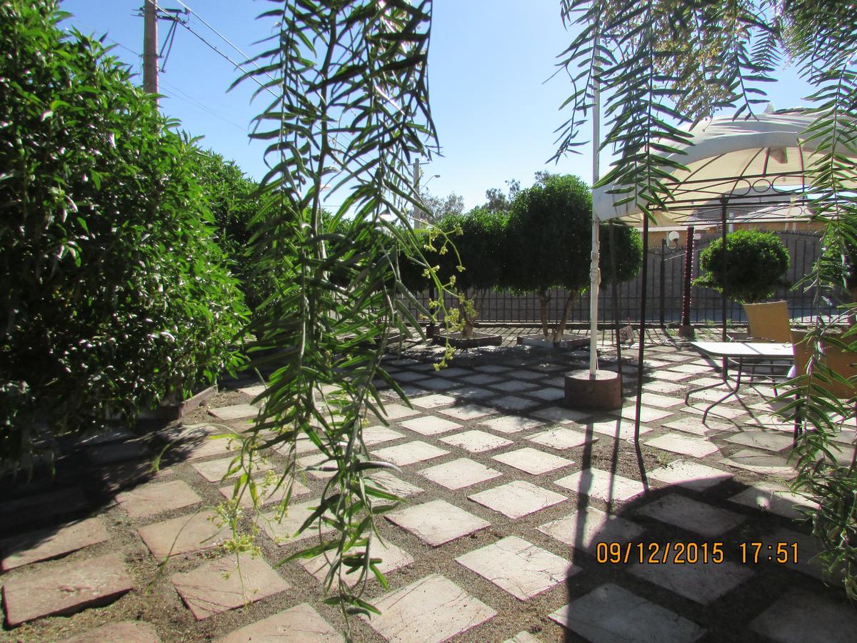 Cabanas Hara - Kara Villa Calama Kültér fotó
